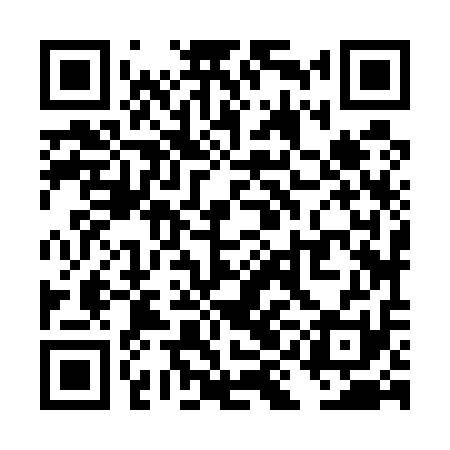 QR code for TIJ511
