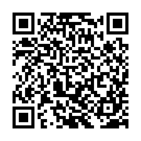 QR code for TIK384