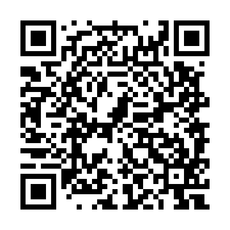 QR code for TIN597