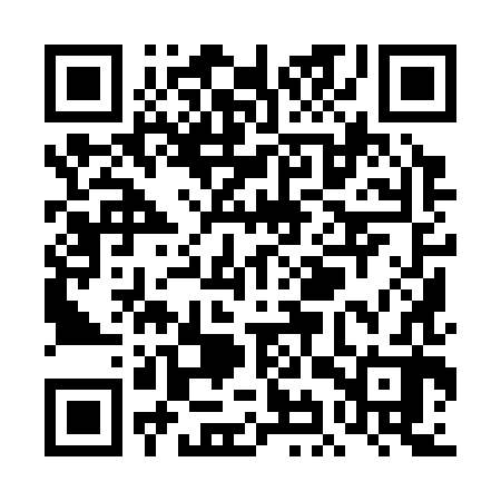 QR code for TIY382