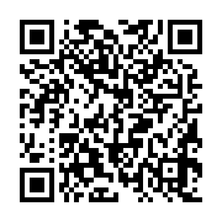 QR code for TLE878