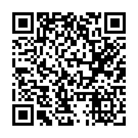 QR code for TLV307