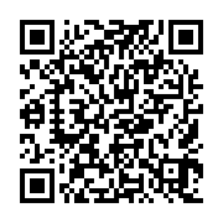 QR code for TOY141