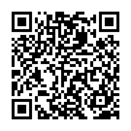 QR code for TOY224