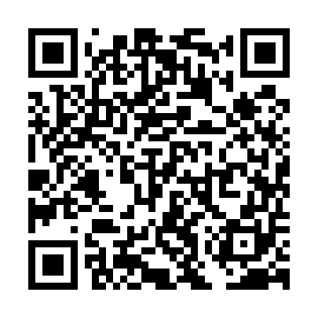 QR code for TOY550