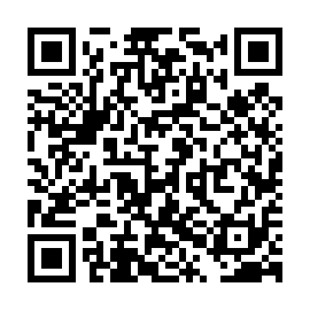 QR code for TPF411