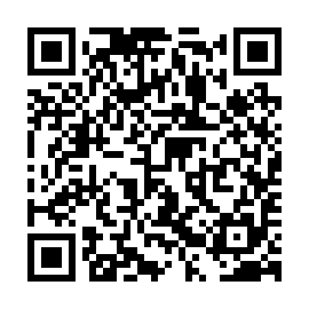 QR code for TRS295