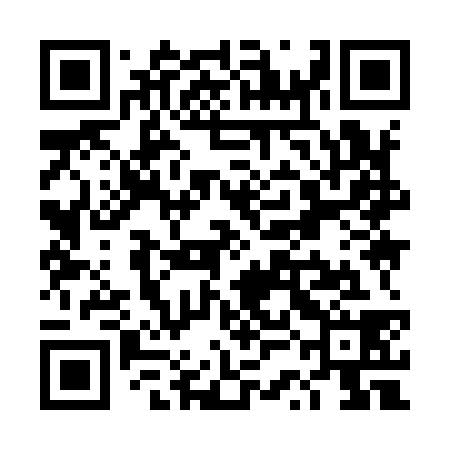 QR code for TSI938
