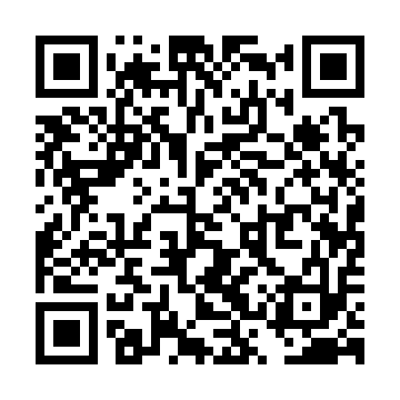 QR code for TSQ313