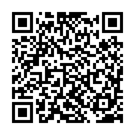 QR code for TSZ295