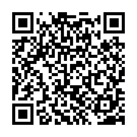 QR code for TYO295