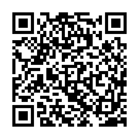 QR code for TZX313
