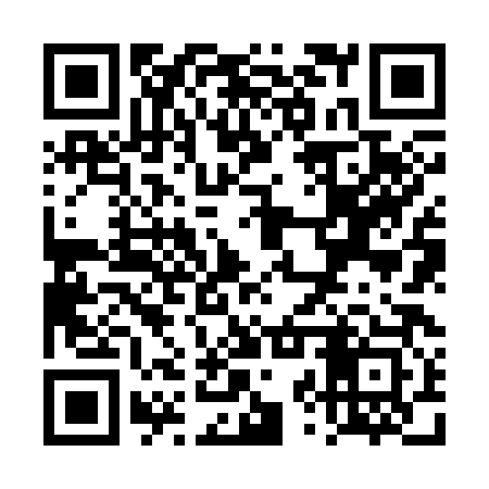 QR code for TZZ383
