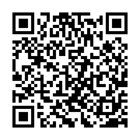 QR code for UAL110