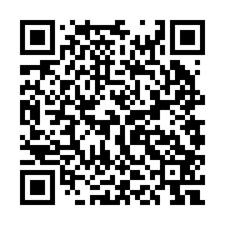 QR code for UDF203