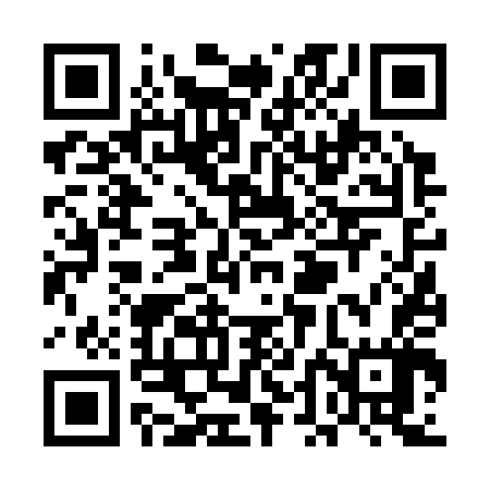 QR code for UDF347