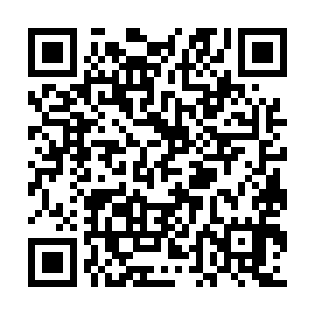 QR code for UDG595