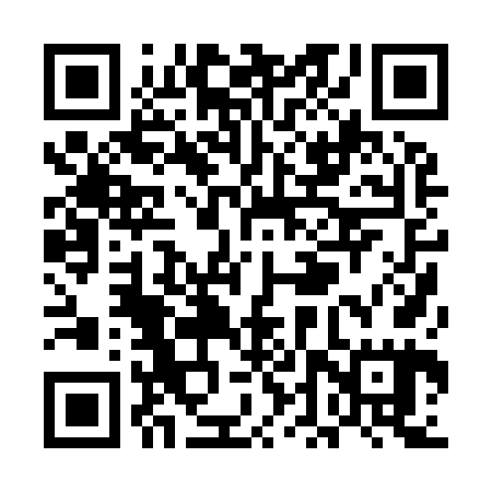 QR code for UDP965