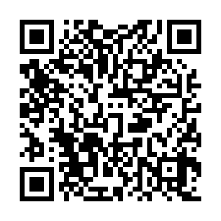 QR code for UDV038