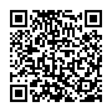 QR code for UDZ238