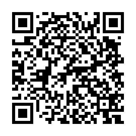 QR code for UNR419
