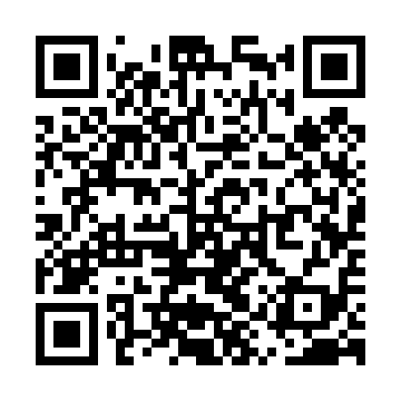 QR code for UYS419