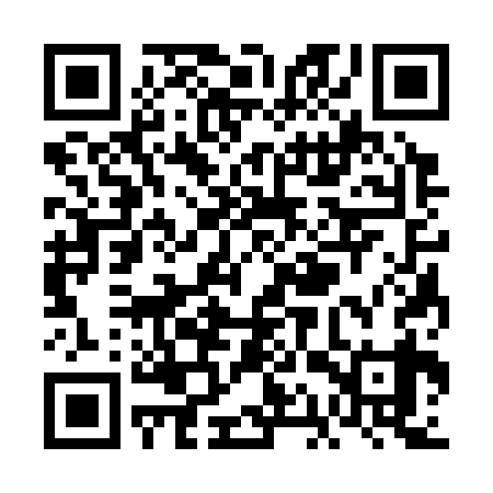 QR code for VAS339