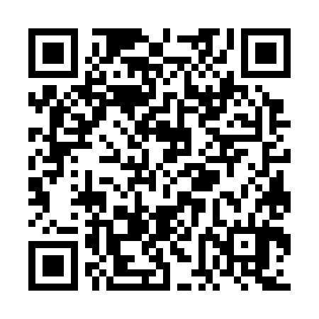 QR code for VFG384