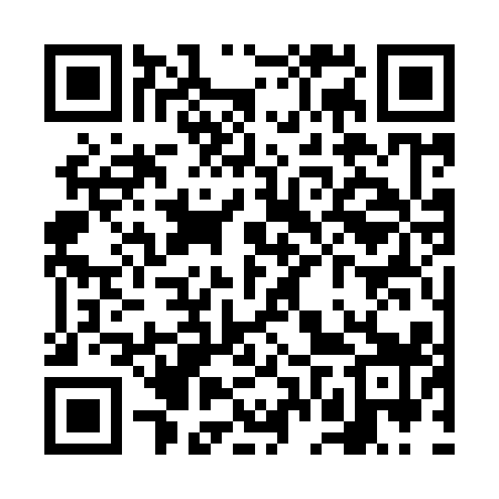 QR code for VFS919