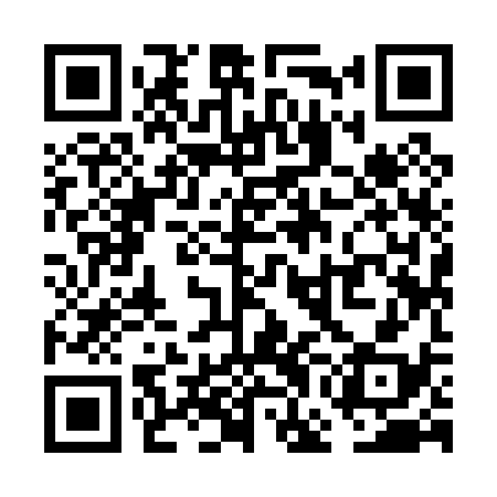 QR code for VGI038
