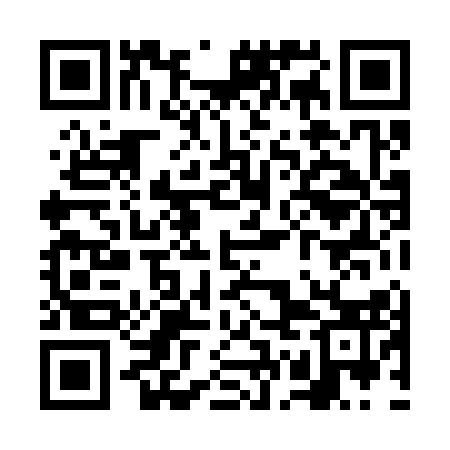 QR code for VGL313