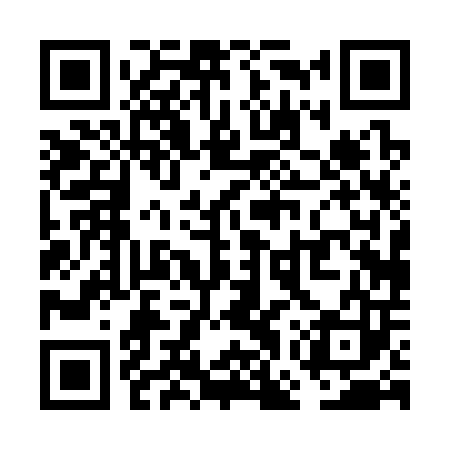 QR code for VGP303
