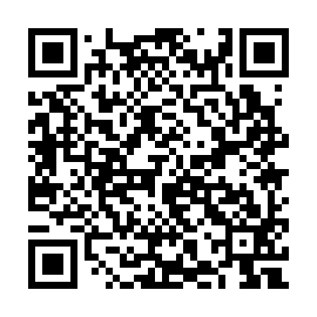QR code for VHQ393