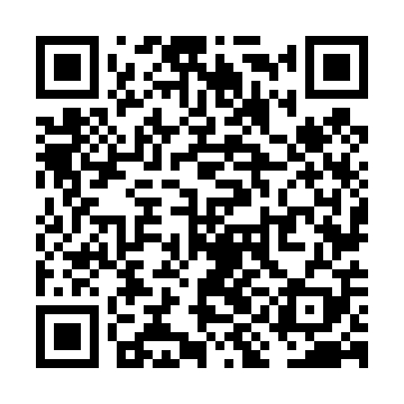 QR code for VIN409