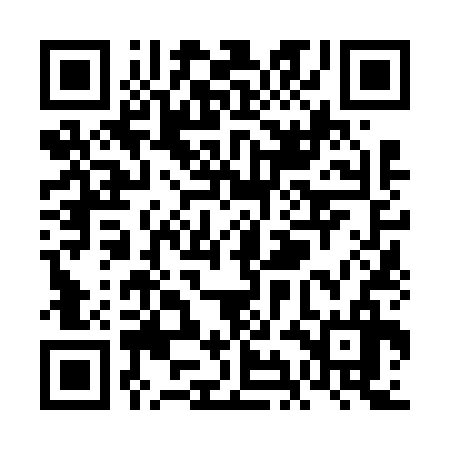 QR code for VIN636