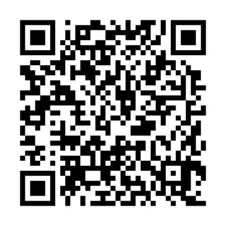 QR code for VIP384