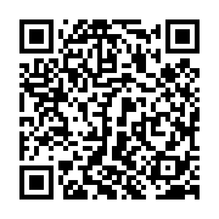 QR code for VIZ438