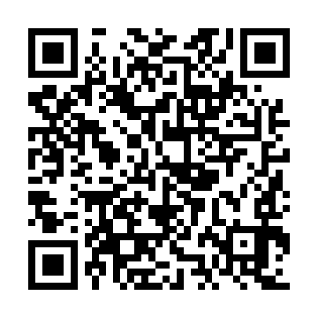 QR code for VJJ593