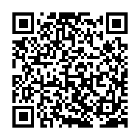 QR code for VJR333