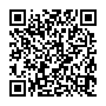 QR code for VJS383