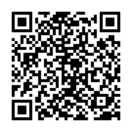 QR code for VLM729