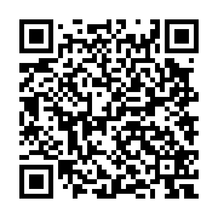 QR code for VLN029