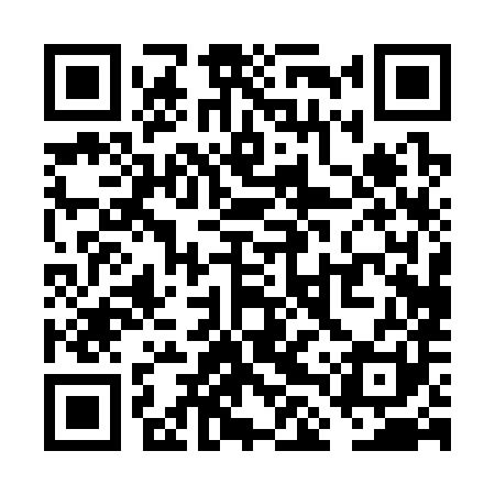 QR code for VLP381