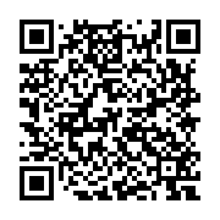 QR code for VNI953