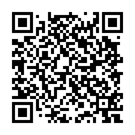 QR code for VPH011