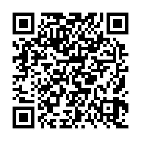 QR code for VPI369