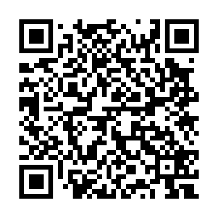 QR code for VPK029
