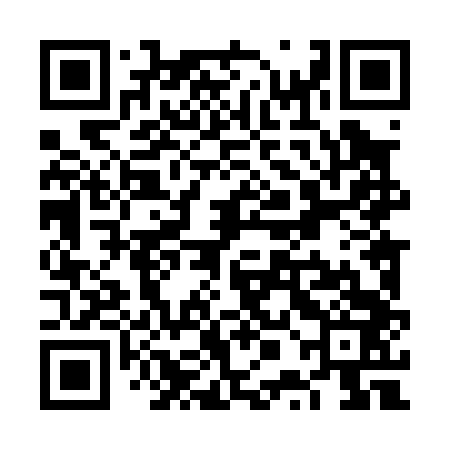 QR code for VPL043