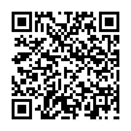QR code for VPN393