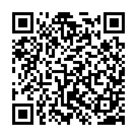 QR code for VPV303